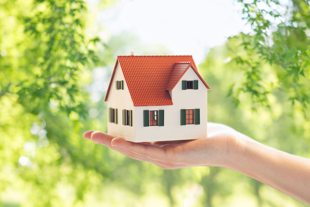 חובת בנייה ירוקה בכל הארץ